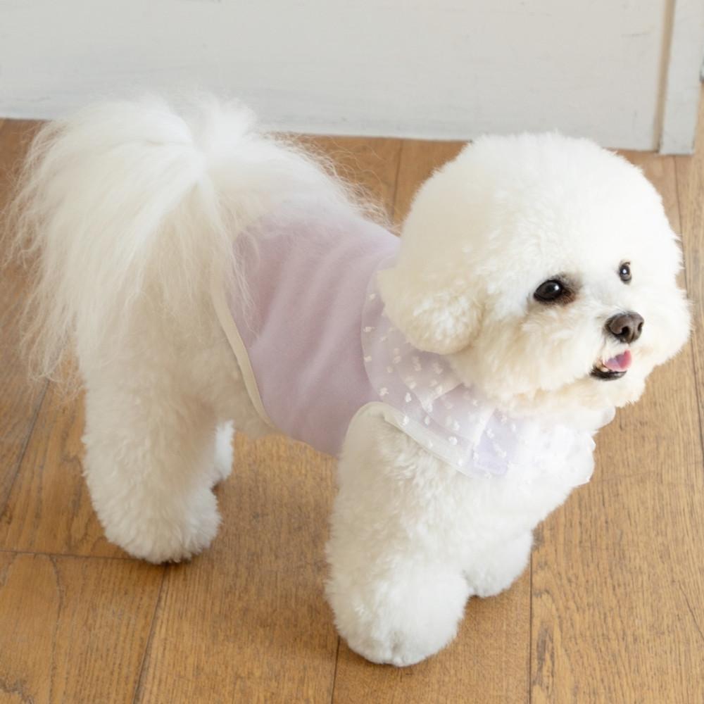 강아지 편한옷 도트 프릴 레이스 실내복