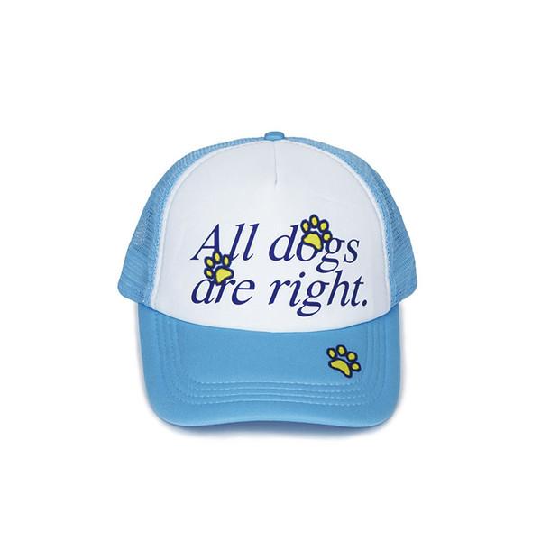 ALL DOGS ARE RIGHT MESH CAP_SKY BLUE