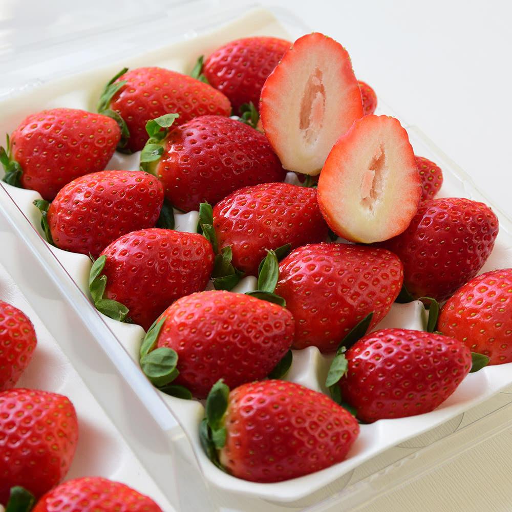 당도측정 고당도 딸기 생딸기 설향 킹스베리 금실