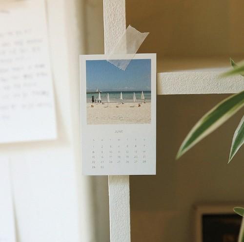[비스켓스튜디오] 2025 Mini Calendar
