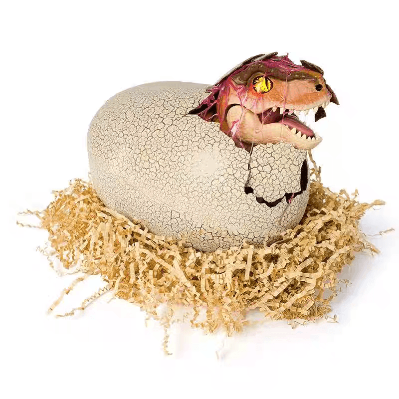 공룡알 장난감 부화 크리스마스 선물