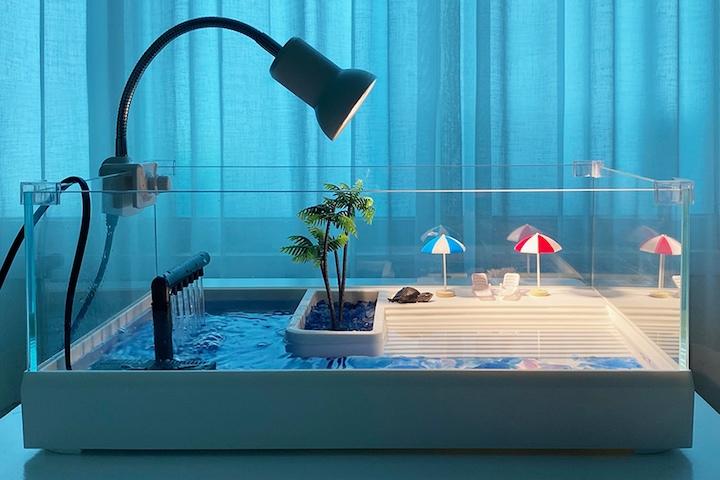 반수생 거북이 어항 수조 키우기 유리 기본형 대형 (풀세트)