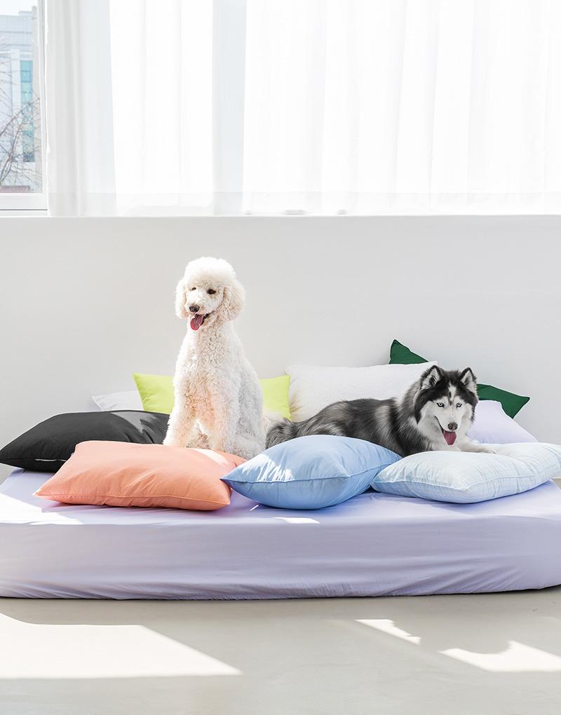 위드 M2 알러지케어 항균 베개커버 50*70 8컬러