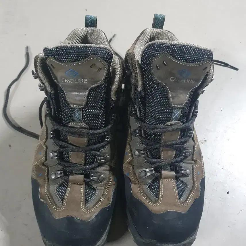 캠프라인 시애라 270미리