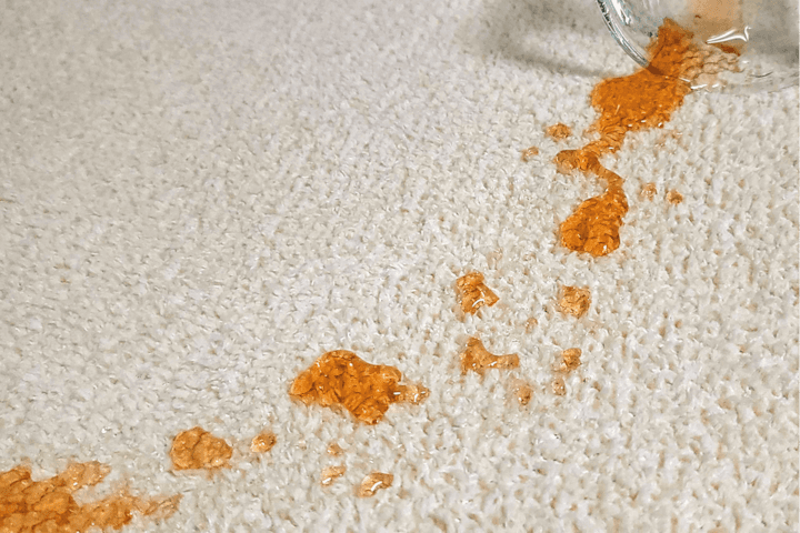 부들부들 방수 러그 고양이 강아지 거실 러그 카페트 맞춤제작