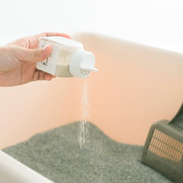 고양이 화장실 필수품 고로롱 고양이 냄새 캣닢 모래 탈취 파우더 1개 (1개월분)