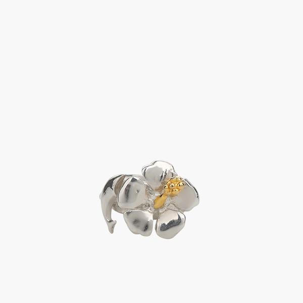 Ocean ring