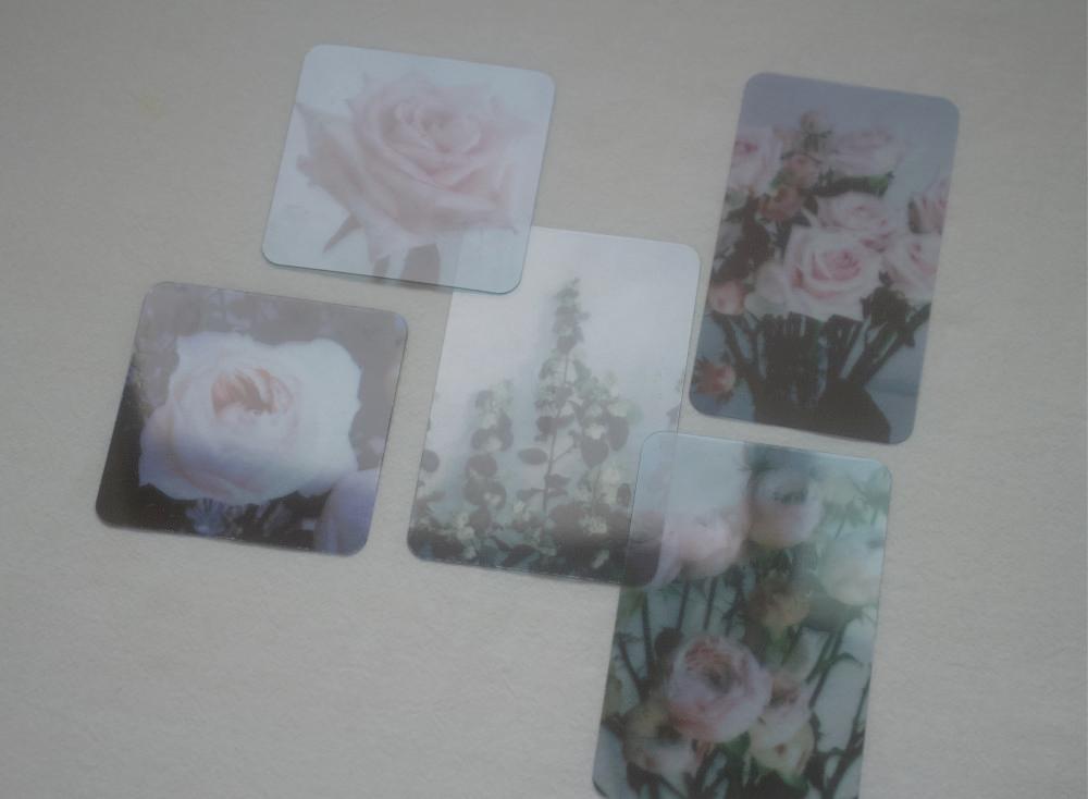 투명 꽃 책갈피