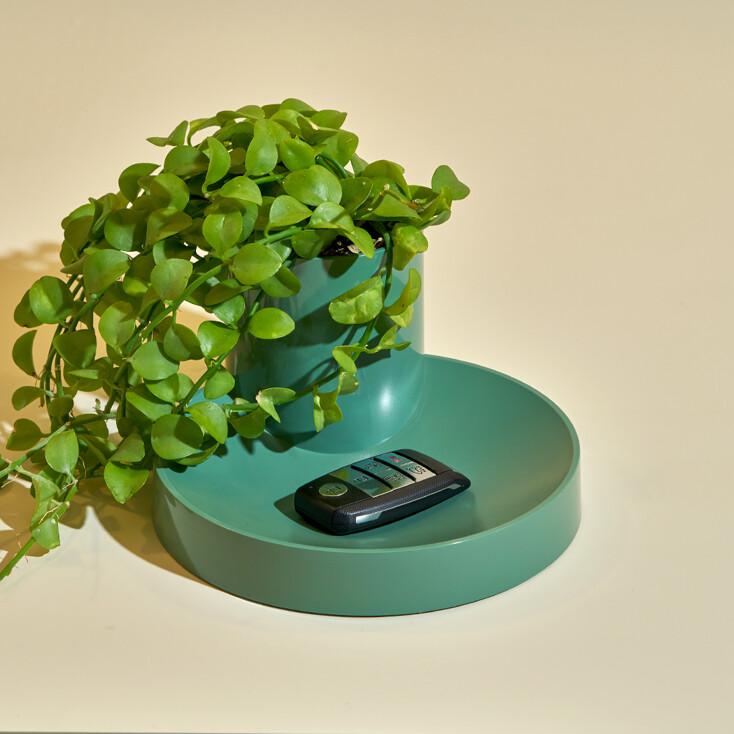 Dot Tray_Olive