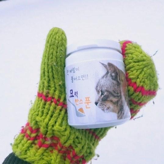 🎁[6.5차] 캣맘이 만든 길냥이 면역보조제 묘력한스푼 -  고양이허피스 구내염 면역다당체 엘라이신 타우린