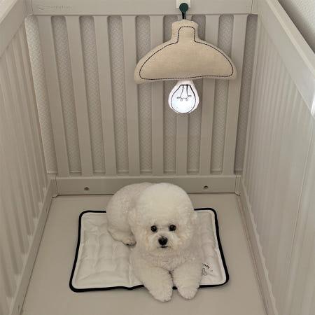 이런 상품 어때요? 텍미홈X주미네 패브릭조명 핸드메이드 인테리어쿠션 USB충전 방꾸미기 무드등