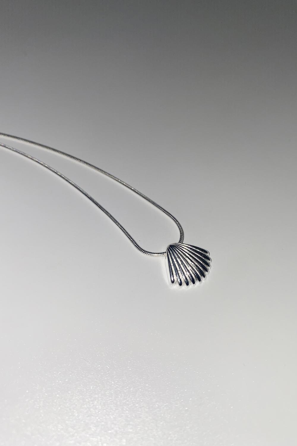 Shell Necklace
