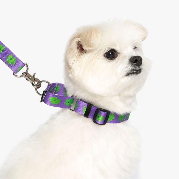 베럴즈 베지 프렌즈 마틴게일 목줄