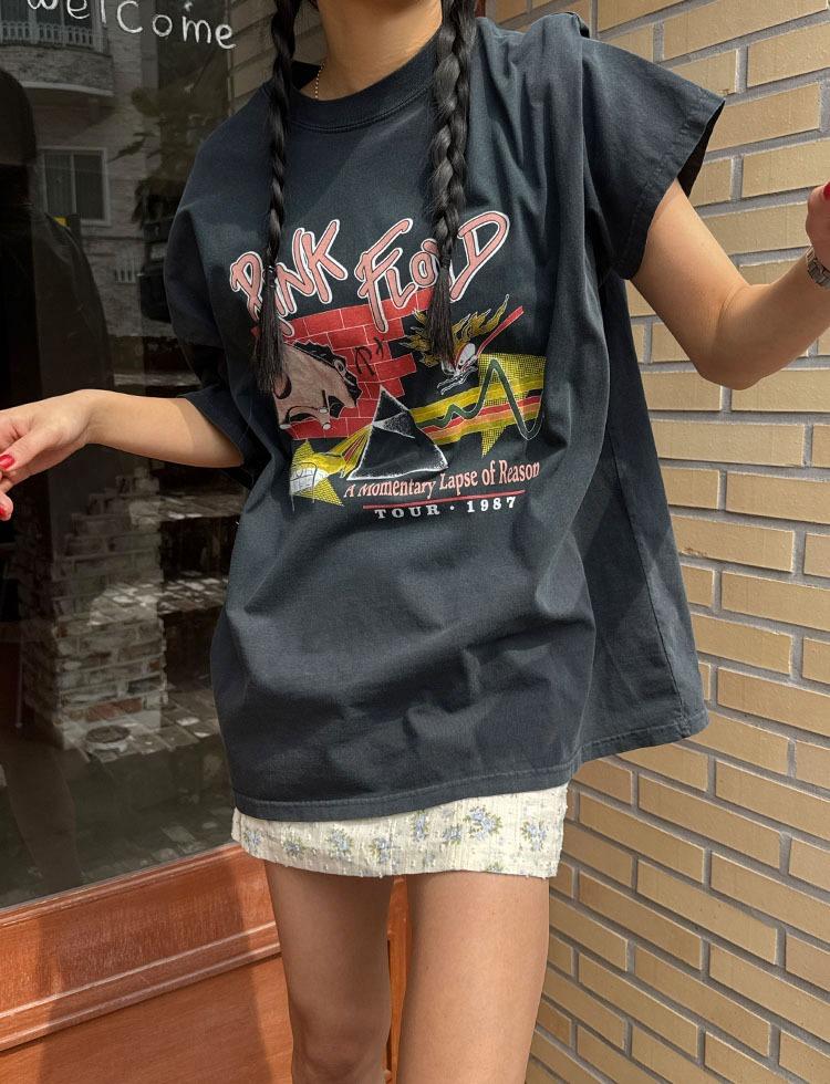 피그 플로드 _T
