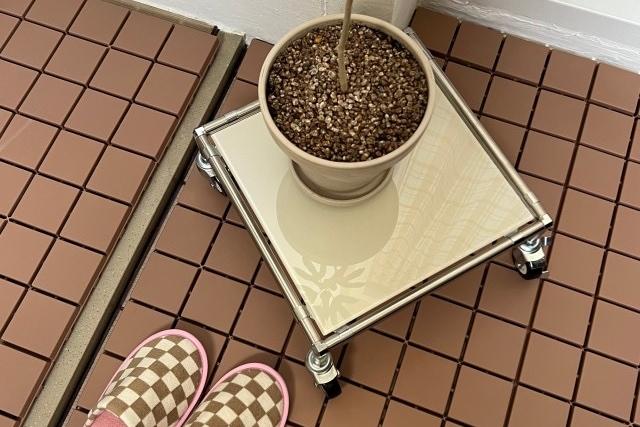 모듈 화분받침대 화분 선반 미드센츄리 이동식 철제 인테리어 식물 (완조립/강화유리)