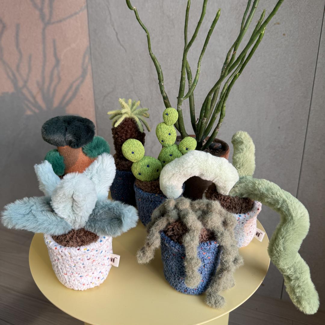 CAT pot series