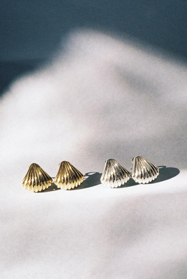 Seashell earring