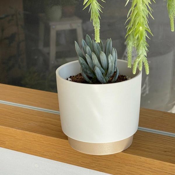 Ground pot | 그라운드팟