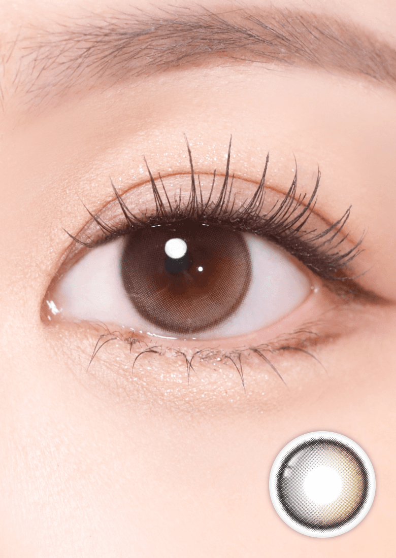 오빗 뉴 블랙(스타티스)(한달용)