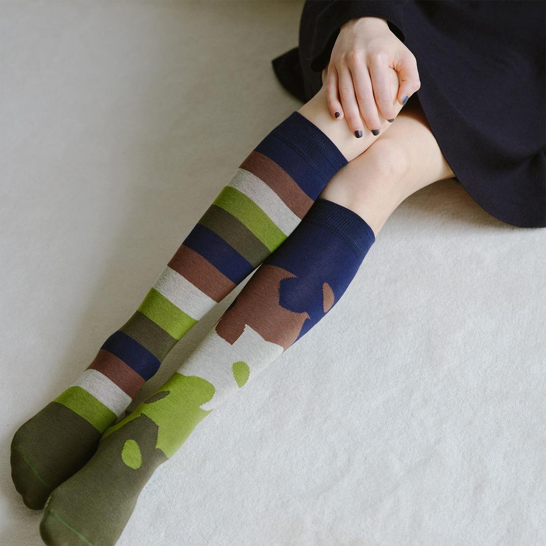 SPT237 matcha border