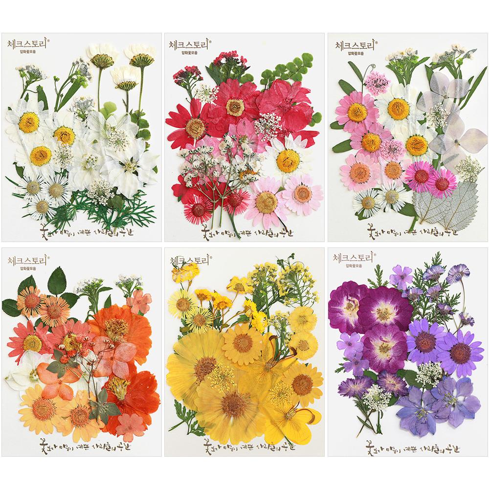 압화 누름꽃 컬러믹스압화팩 압화꽃모음 조화
