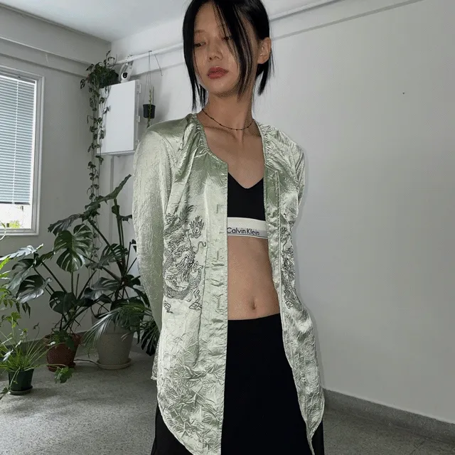 Silky pointed hem blouse