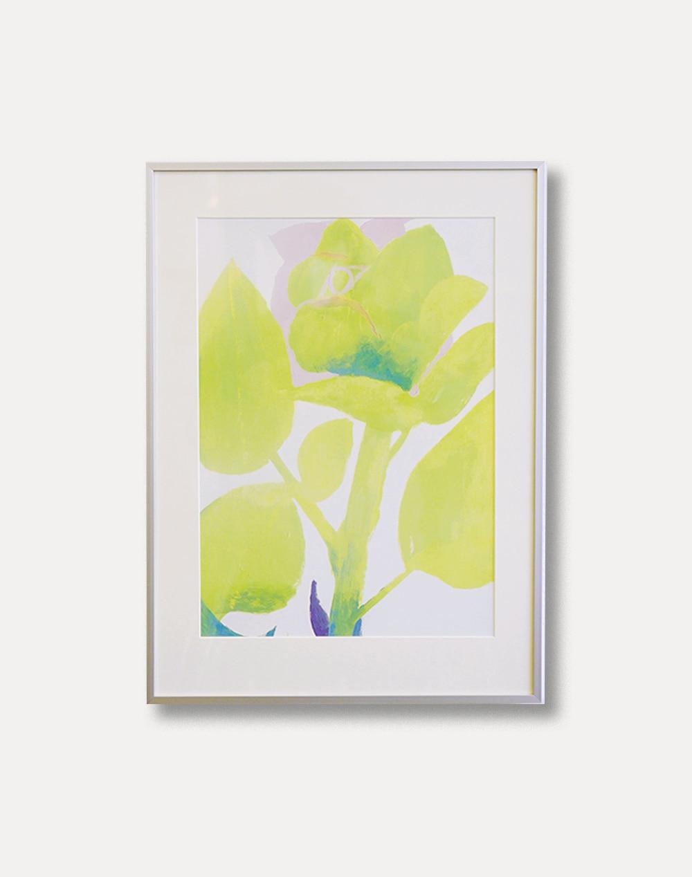 [알렉스 폭스톤] Alex Foxton — Flower no.4 (화이트 알루미늄 액자 포함)