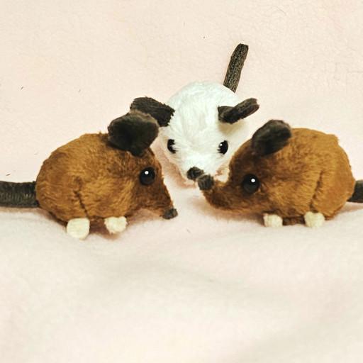 (주문제작) 나만의 땃쥐 땃쥑쥑이 인형