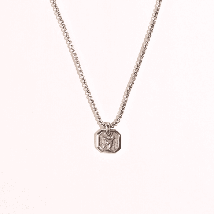 [6/10 재입고] SILVER RAIN BIRD NECKLACE