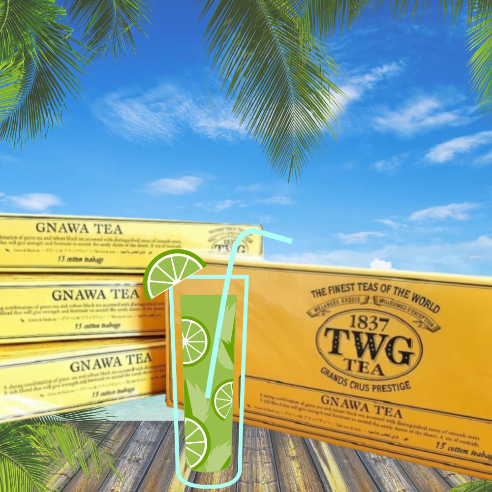 TWG 그나와 티 민트 티백 Gnawa Mint Teabags
