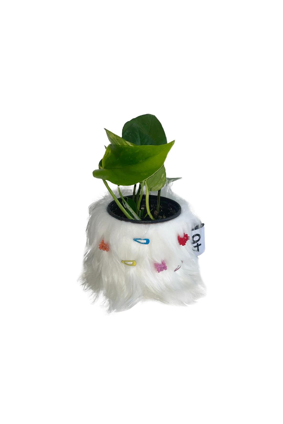 furry pot cover (white)
