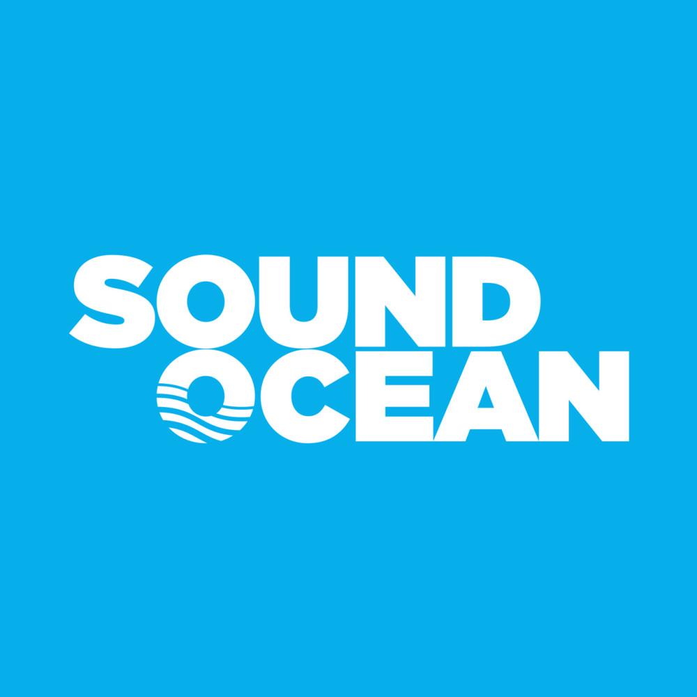 사운드오션 : 네이버쇼핑 스마트스토어