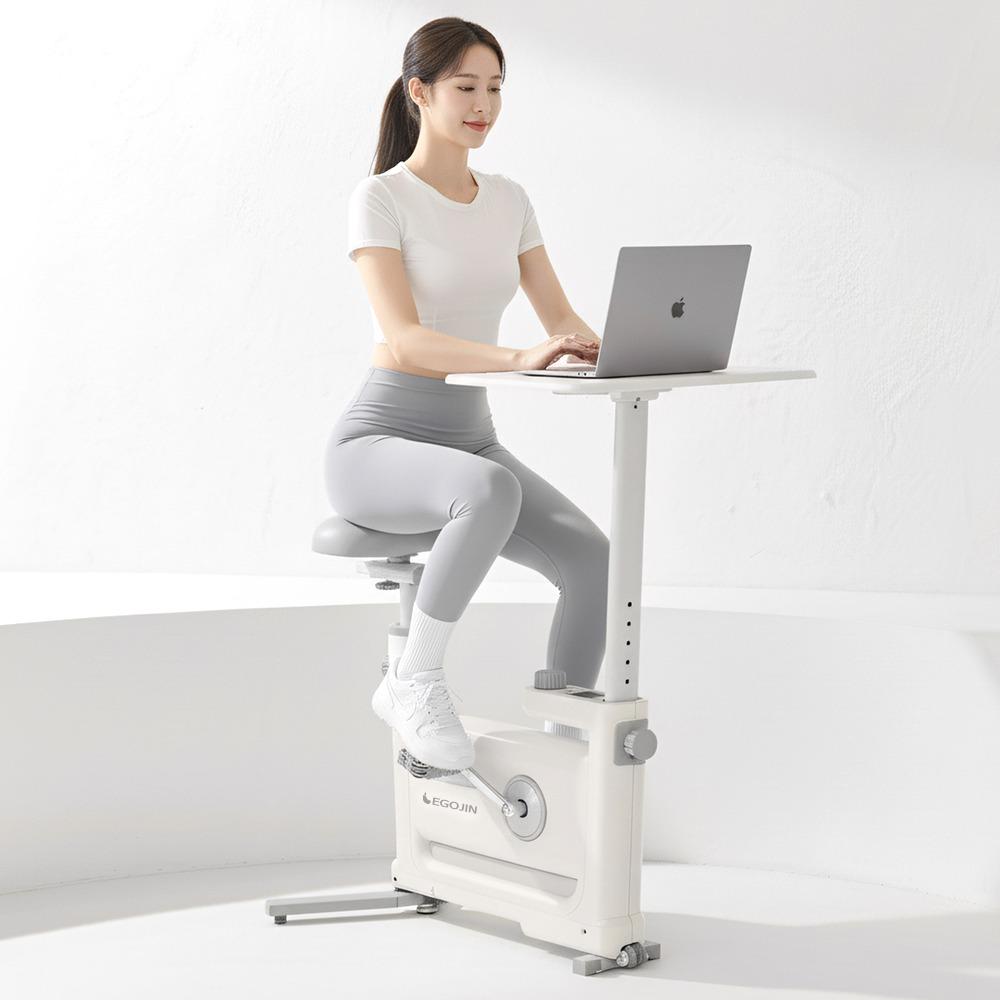 이고진 더슬림 데스크 바이크💜