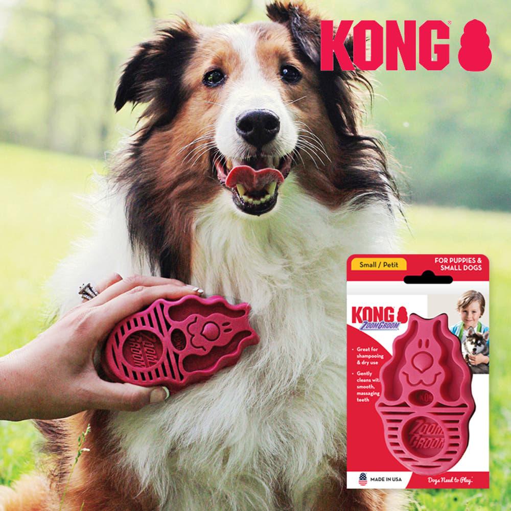 콩 KONG 줌그룸 라즈베리 강아지 목욕 샤워 실리콘 마사지 브러쉬 빗 털빠짐