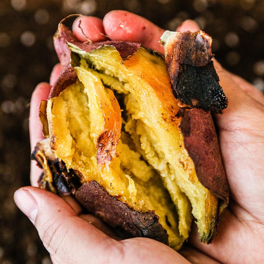 고창 고구마 3kg 5kg 베니하루카 꿀고구마 밤고구마 호박