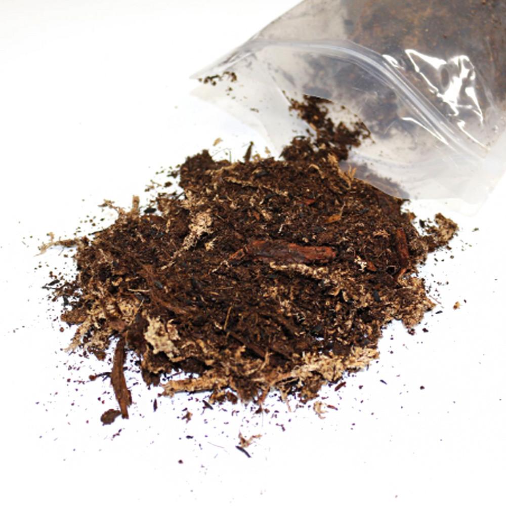 비바리움 바닥재 ABG mix, 비바리움 팔루다리움 만들기 이끼키우기