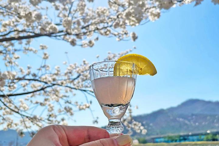 어버이날 스승의날 선물 술잔세트 집들이선물 위스키잔 양주잔 소주잔세트