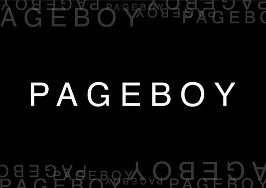PAGEBOY 페이지보이 데님 스커트 [WOMAN 25]