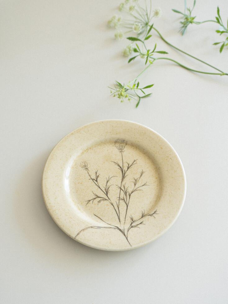 wild carrot plate