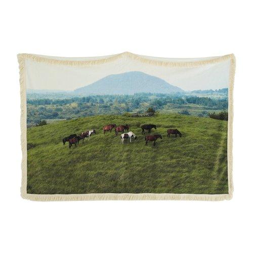 JEJU mountain horse 테슬 블랭킷