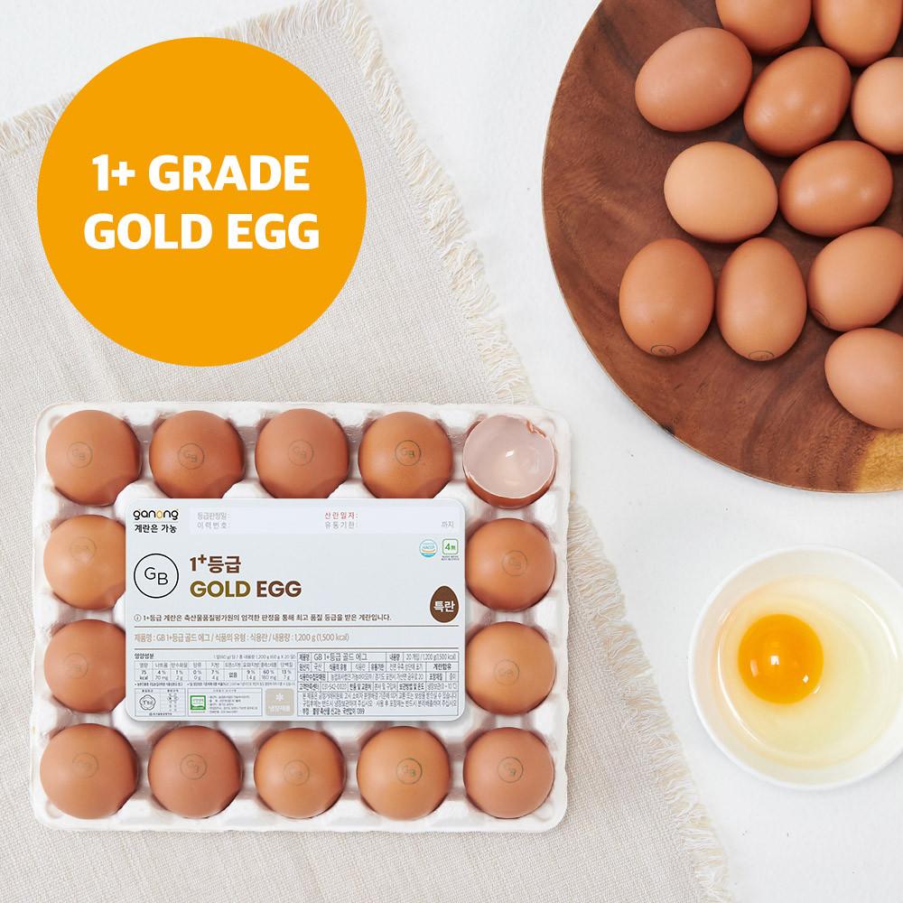 [가농] 1+등급 골드 에그 무항생제 인증 특란  20구,40구(당일산란 발송)