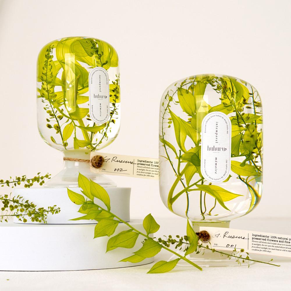 HUHURU 인테리어 오브제 무드등 그린 루스커스 - 플랜테리어 오너먼트