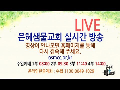 발레린 웨딩 밴드