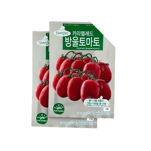 BFA 프리미엄 채소씨앗 방울토마토 - 채소씨앗 | 쿠팡