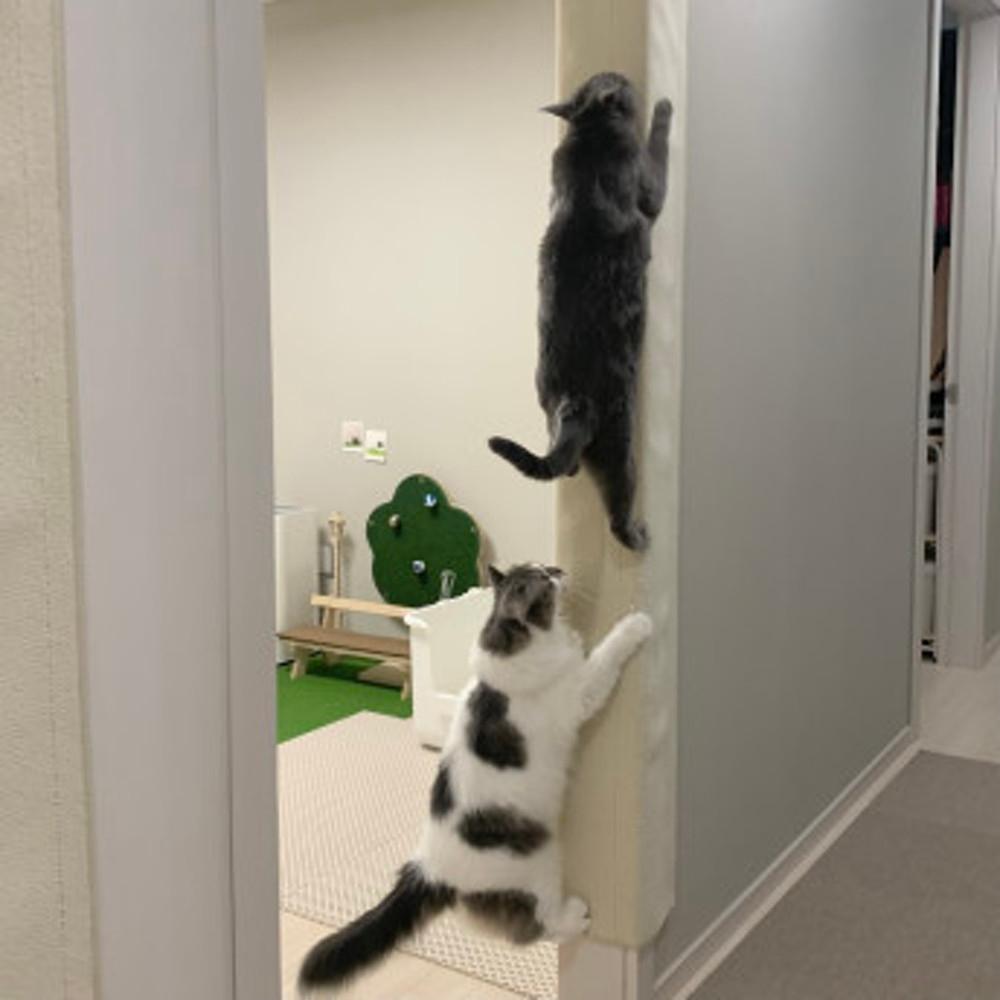 도레미파 냥오름 아이보리/기본 냥오름/기본 2m 초대형 수직 고양이 스크래쳐 장난감