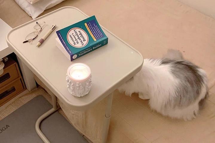 지드 높낮이 조절 450 각도조절 침대 소파 사이드테이블