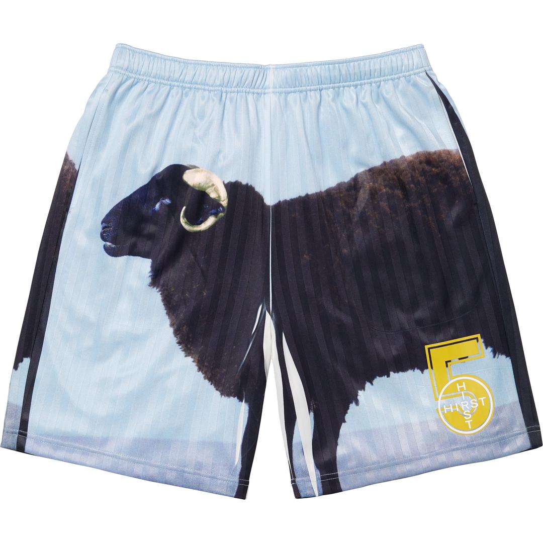 Supreme/Damien Hirst Soccer Short - Shop