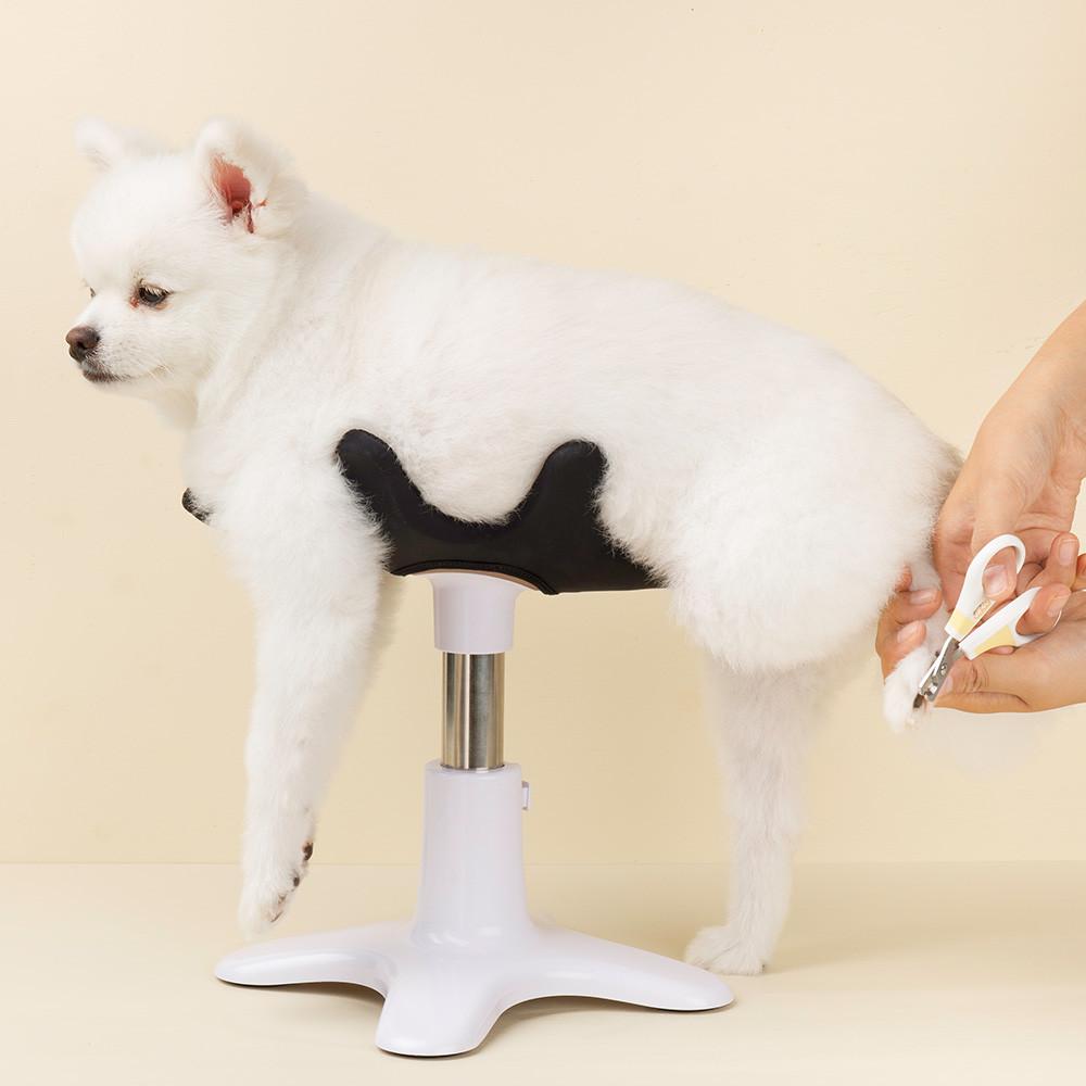 강아지 미용의자 샘슨살롱 반려동물 애견 셀프미용 테이블 목욕의자 발상코퍼레이션