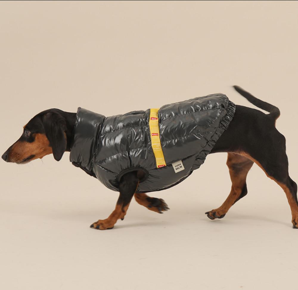 (M-5XL)15초발열 강아지패딩 닥스훈트옷 대형견패딩