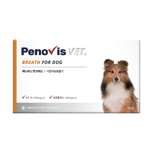 페노비스 벳 강아지 기관지 영양제 30정